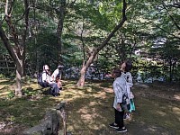 アノン